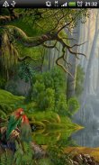 Jungle Parrots Live Wallpaper screenshot 0