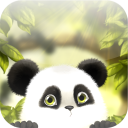 Panda Chub Wallpaper Kostenlos Icon