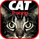 Cat Training Icon