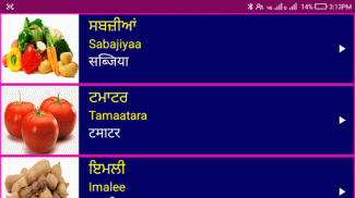 Learn Punjabi From Hindi screenshot 14
