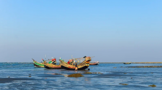 Bangladesh Tour Guide screenshot 4