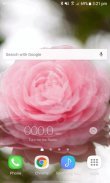 Blooming Pink Rose LWP screenshot 1