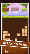 Block Puzzle in the Stone Age screenshot 5