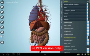 Anatomy 3D - Anatronica screenshot 3