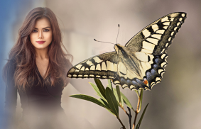 Butterfly Photo Frames – overl screenshot 2