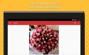 Rosas de Colores para Enamorar screenshot 6