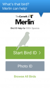 Merlin Bird ID by Cornell Lab of Ornithology screenshot 0