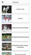 Породы собак – Фото-тест screenshot 6