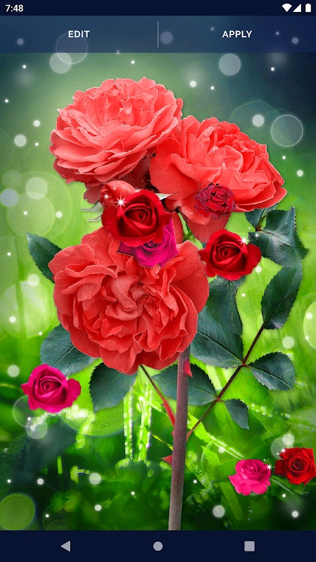 Animated Flowers Live Wallpape  Apps on Google Play