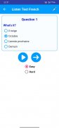 Learn French Language Offline screenshot 11