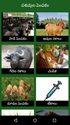 Paadi Parisrama Dairy Farming Telugu screenshot 0