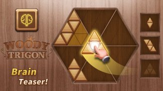 Woody Trigon Block Puzzle Game screenshot 1