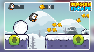 Club Penguin APK Download for Android Free