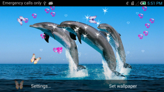 Dolphin Live Wallpaper screenshot 9