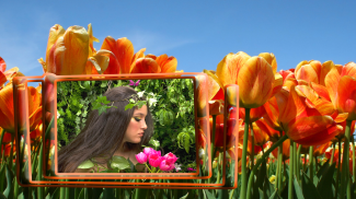 Hoa tulip khung ảnh screenshot 1