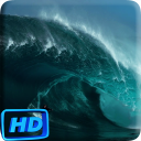 Surfing Video Live Wallpaper