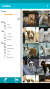 TapGroom Pet Grooming Salon screenshot 23