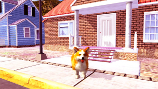 Corgi Dog Simulator screenshot 20