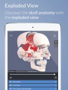 3D Skull Atlas screenshot 0