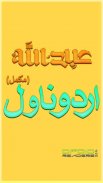 Urdu Novel Complete: Abdullah screenshot 0