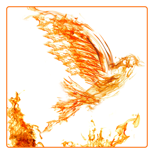 Phoenix code