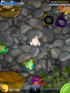 Pocket Frogs: Tiny Pond Keeper screenshot 13