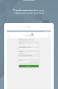 Lucan Credit Union screenshot 2