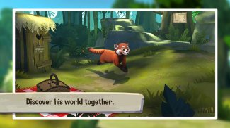 Pet World - My Red Panda screenshot 2