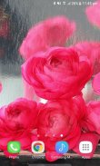 Rainy Pink Roses LWP screenshot 2