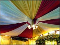 Reception Tent Design Ideas screenshot 3