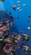 Ocean Aquarium screenshot 0