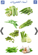 تعليم اسماء الخضروات | انواع الخضروات screenshot 4