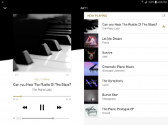 AK Connect 2.0 (DLNA,UPnP,AK) screenshot 4