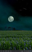 Cornfield Free screenshot 3