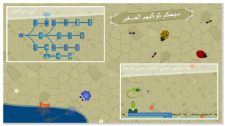 Evo planet (اتبع نهج التطور) screenshot 3