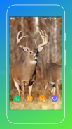 Deer Wallpapers screenshot 13