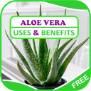 Uses & Benefits of Aloe Vera