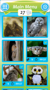 Owl Jigsaw Puzzle screenshot 0