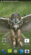 Flying Owl Live Wallpaper screenshot 1