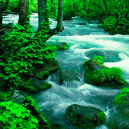 Hilly River Live Wallpaper screenshot 3