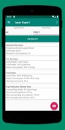 Layer Expert screenshot 1