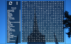 LDS Word Search Puzzle screenshot 2