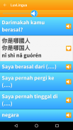 Bahasa Cina LuvLingua screenshot 2