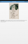 Perennial herbs screenshot 5
