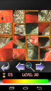 Puzzle Fish for children screenshot 1