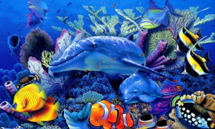 Underwater Animals Images screenshot 1