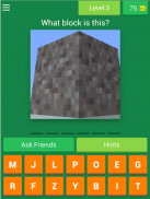 ⛏️MC Blocks + Ore Quiz! screenshot 10