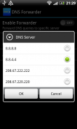 DNS forwarder screenshot 1