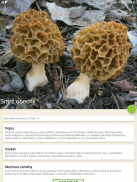 Aplikace na houby screenshot 7