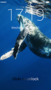 Blue Whale Lock Screen screenshot 4